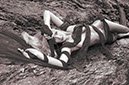 halszka_photo